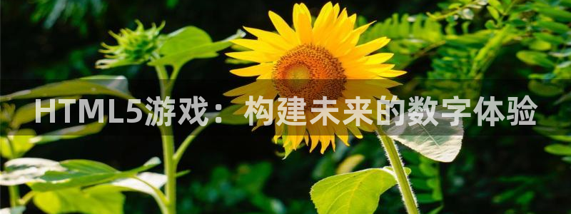 恒盛娱乐登陆：HTML5游戏：构建未来的数字体验