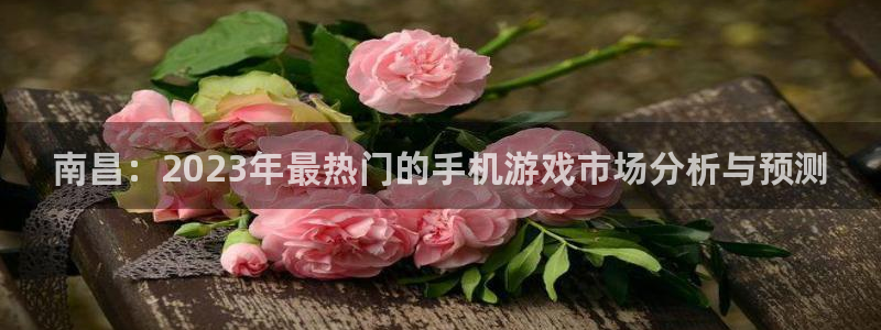 恒盛娱乐登陆：南昌：2023年最热门的手机游戏市场分析与预测