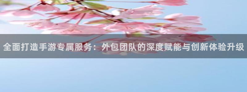 恒盛娱乐app：全面打造手游专属服务：外包团队的深度赋能与创