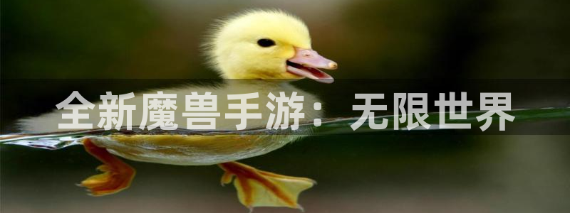 恒盛娱乐app：全新魔兽手游：无限世界