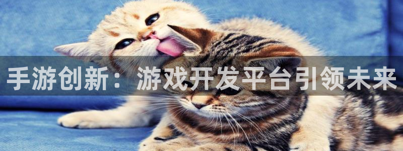 恒盛娱乐平台：手游创新：游戏开发平台引领未来