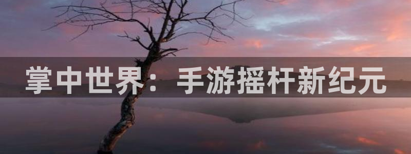 恒盛娱乐下载：掌中世界：手游摇杆新纪元