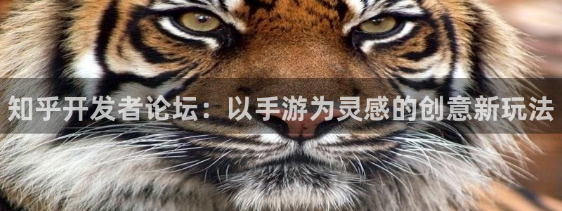 恒盛娱乐app：知乎开发者论坛：以手游为灵感的创意新玩法