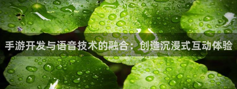恒盛娱乐下载：手游开发与语音技术的融合：创造沉浸式互动体验
