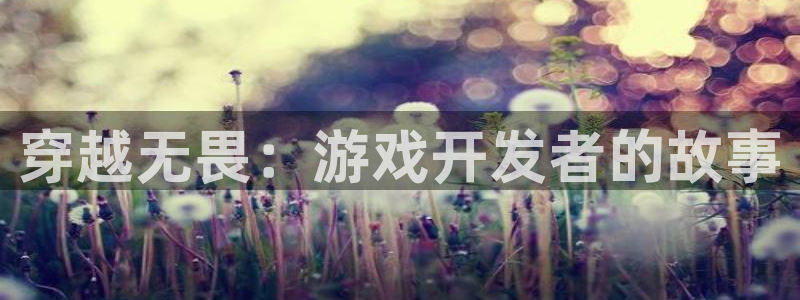 恒盛娱乐登录：穿越无畏：游戏开发者的故事