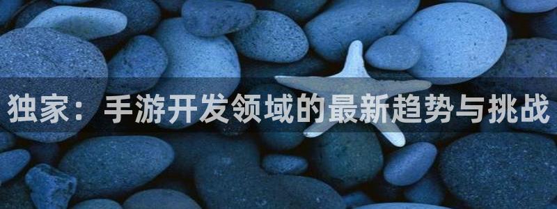 恒盛娱乐app：独家：手游开发领域的最新趋势与挑战