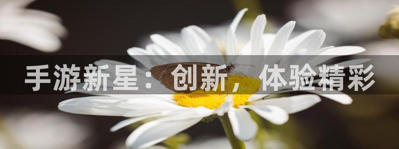 恒盛娱乐登录：手游新星：创新，体验精彩