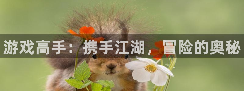 恒盛娱乐官网：游戏高手：携手江湖，冒险的奥秘