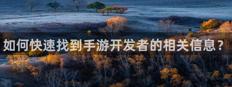 恒盛娱乐登录：如何快速找到手游开发者的相关信息？