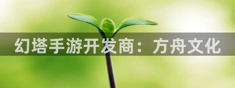 恒盛娱乐登陆：幻塔手游开发商：方舟文化
