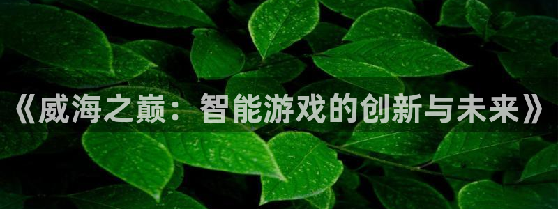 恒盛娱乐登录：《威海之巅：智能游戏的创新与未来》