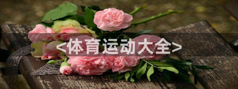 中欧体育kok