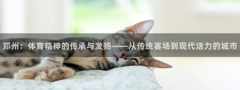 中欧体育(zoty)官网