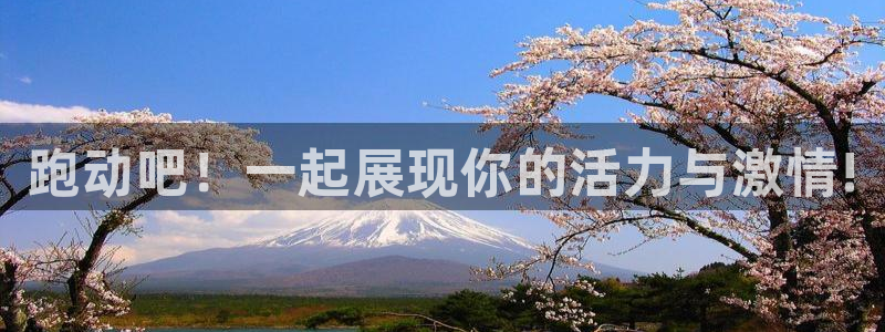 中欧体育网页版
