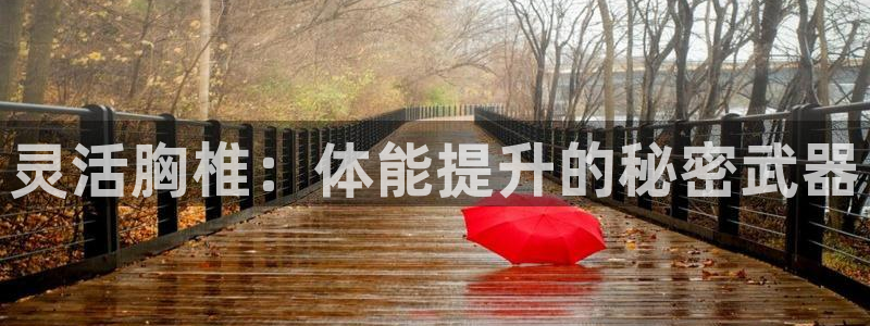 中欧体育kok官网首页