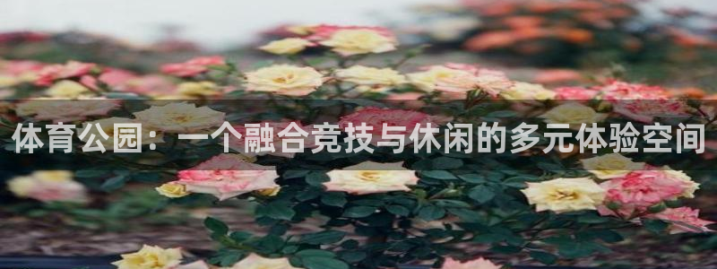 中欧体育最新地址