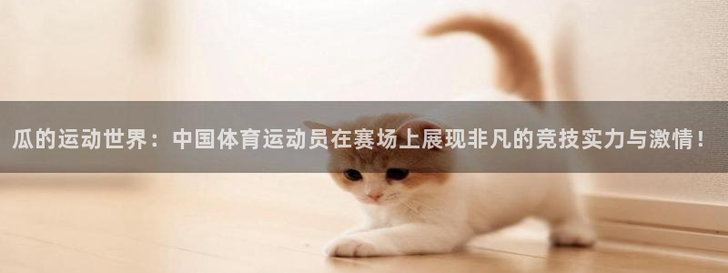 中欧体育