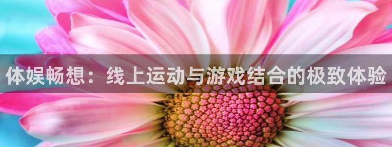 中欧体育最新地址