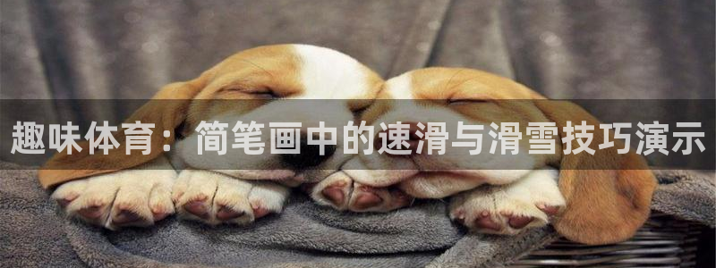 中欧体育李勇鸿